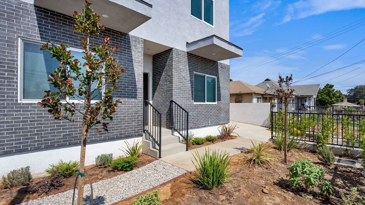 percy - Photo 2 of 15