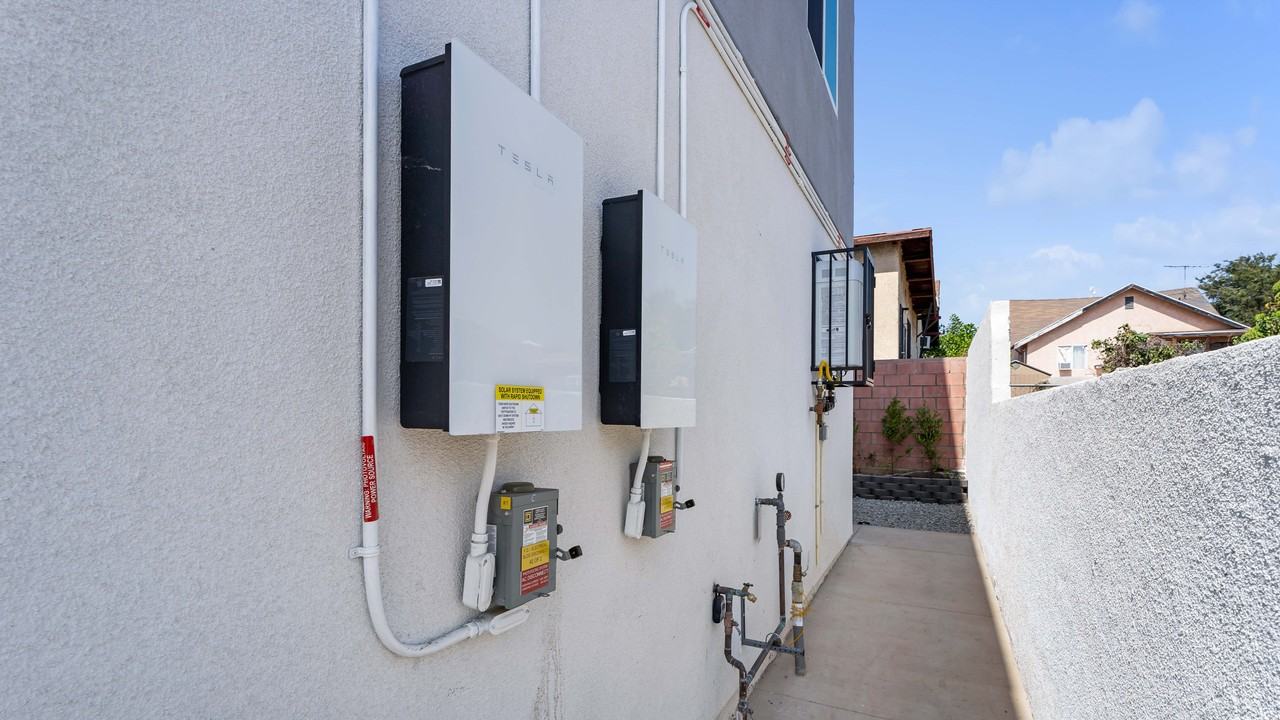 percy - Photo 7 of 15