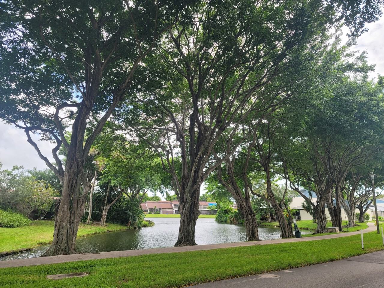 4049 Sw 68th Way #6I - Photo 2 of 33