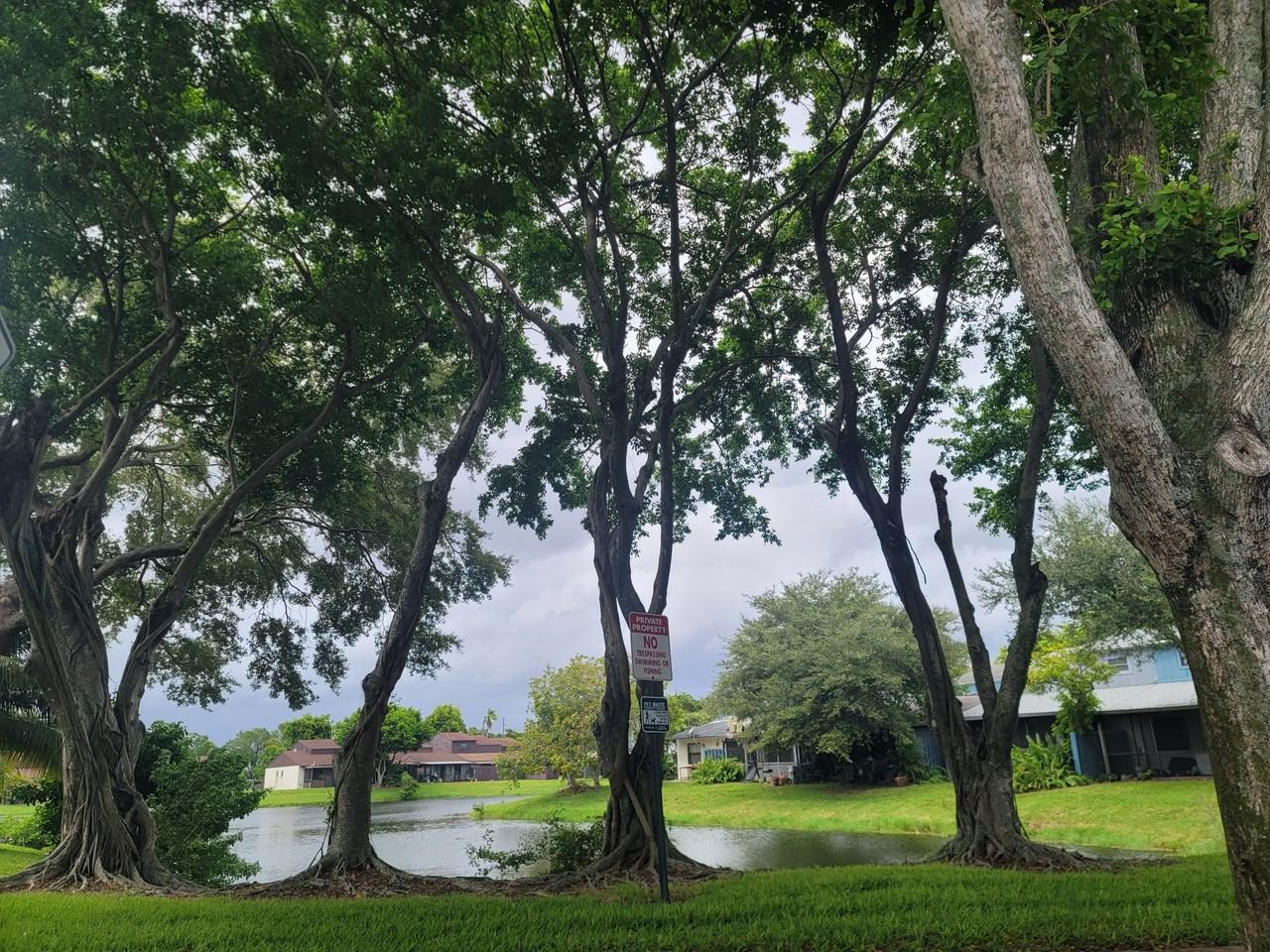 4049 Sw 68th Way #6I - Photo 3 of 33