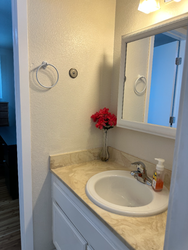 1511 Seabrook Ln - Photo 5 of 10