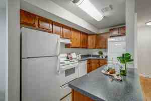 featured image of 2830 Broad Rock Blvd