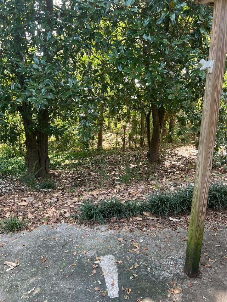 2210 Wax Rd Se - Photo 3 of 23
