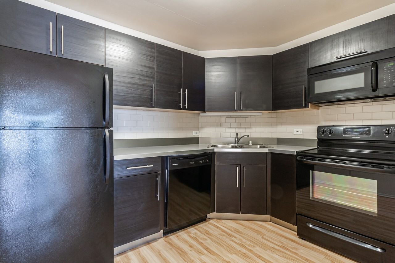 1120 N La Salle Dr #3P - Photo 4 of 12