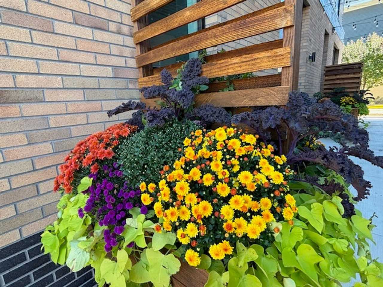 New Construction ready for Move IN - Photo 3 of 50