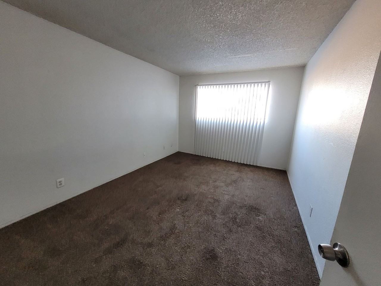 Virginia Manor - Photo 4 of 17