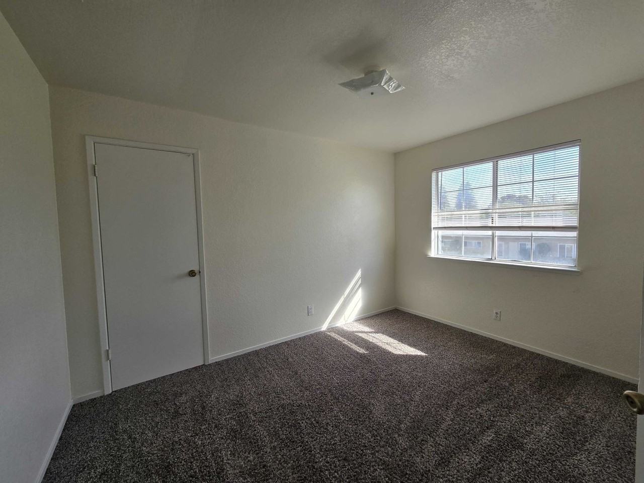 1706 Elayne Dr - Photo 6 of 15