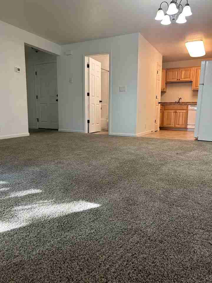 4365 Oro Blanco Dr - Photo 3 of 9