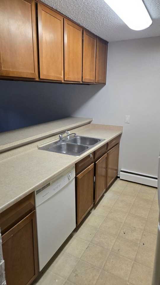 1842 Canyon Blvd - Photo 5 of 23