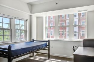 The Amsterdammer - Photo 1 of 1