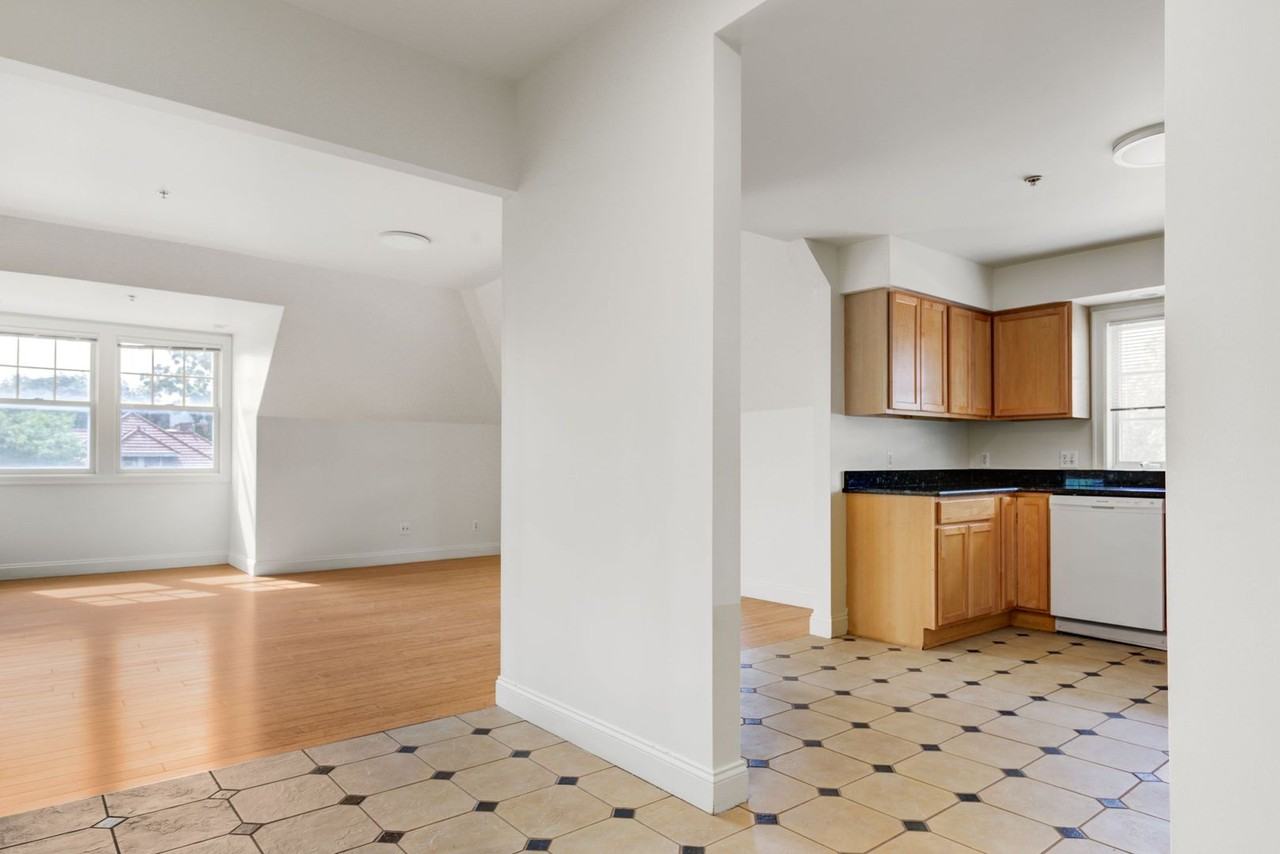 Forest Edge - Photo 3 of 29