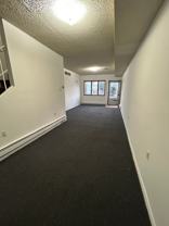 163 Kirkbride Avenue - Photo 1 of 1