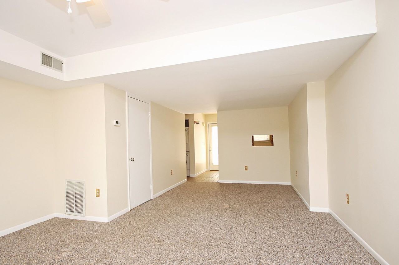 1309 Wertland St #D2 - Photo 5 of 11