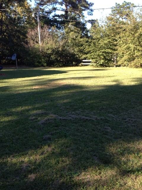 1058 Madison Ave - Photo 2 of 13