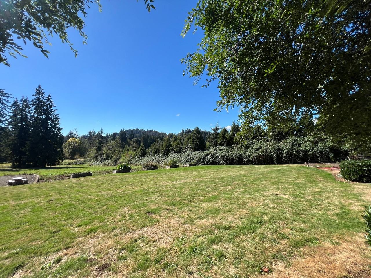 Small Peaceful Property on Acreage - Photo 4 of 4