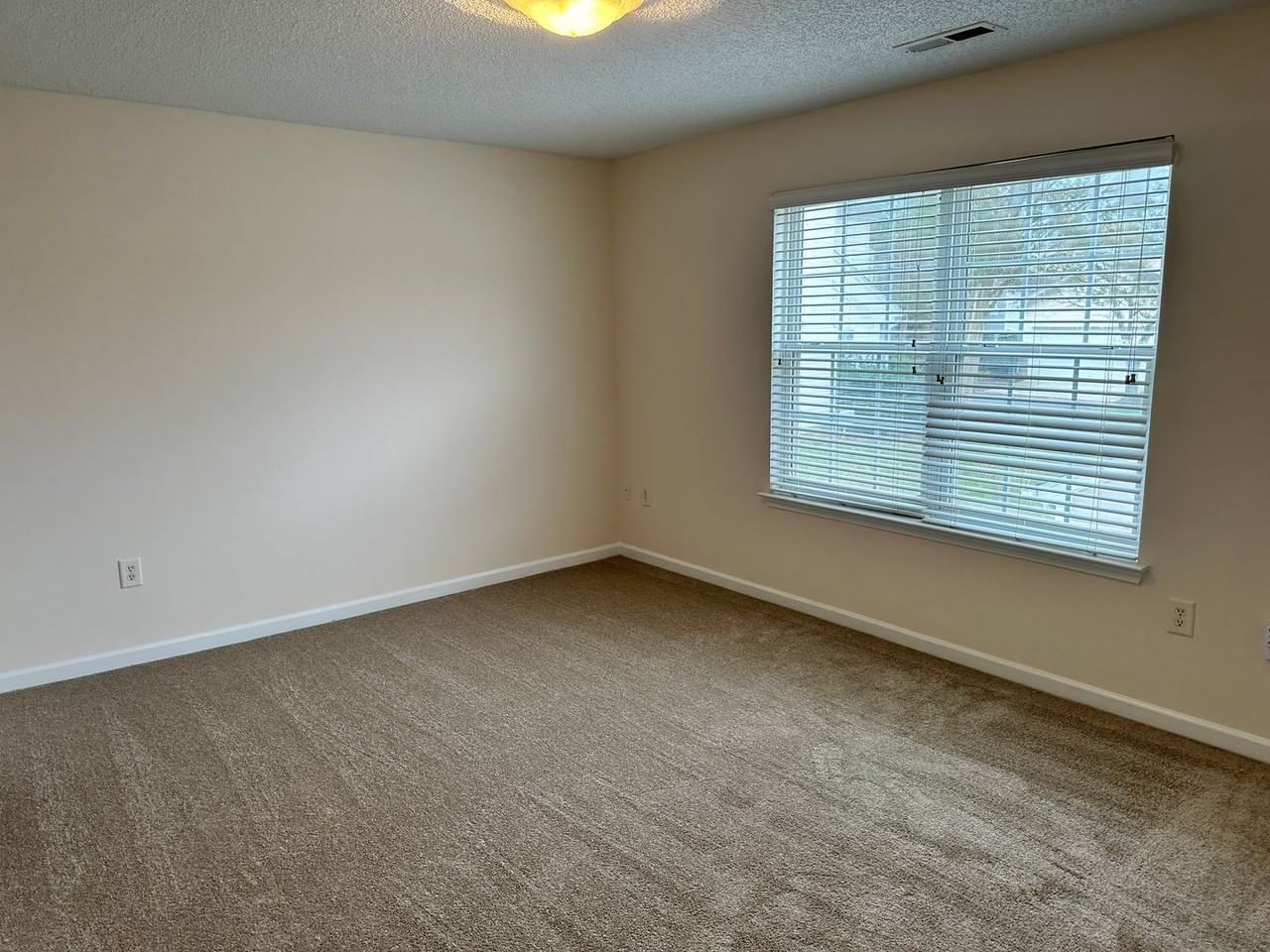 9019 Meadowmont View Dr - Photo 4 of 9