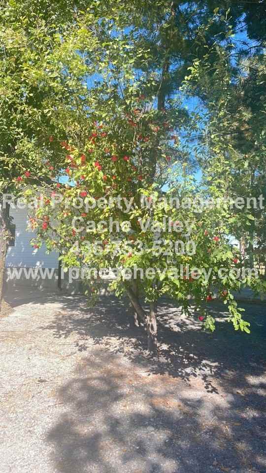 1175 S 2000 W - Photo 3 of 9