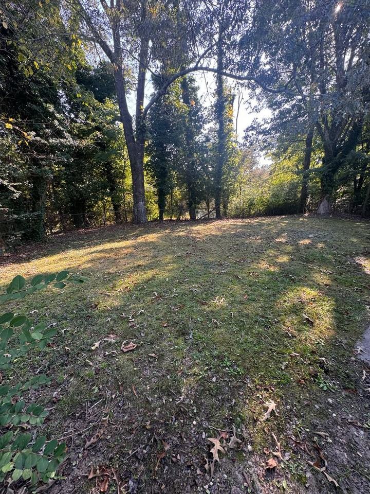 317 Christopher Dr - Photo 6 of 6