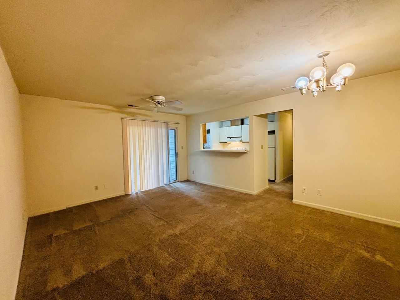 403 Berryfield Ln Apt A - Photo 2 of 22