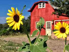 featured image of 5028 N State Highway 67