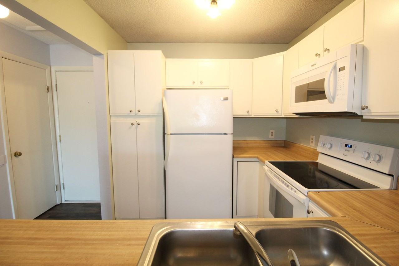 1340 Hunters Rd Apt L - Photo 3 of 17