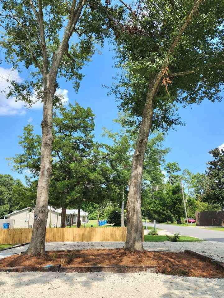 25145 Chestnut St - Photo 2 of 38