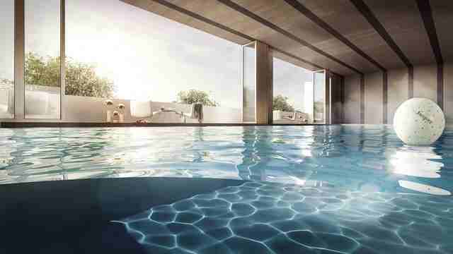 Jasper - Photo 2 of 11