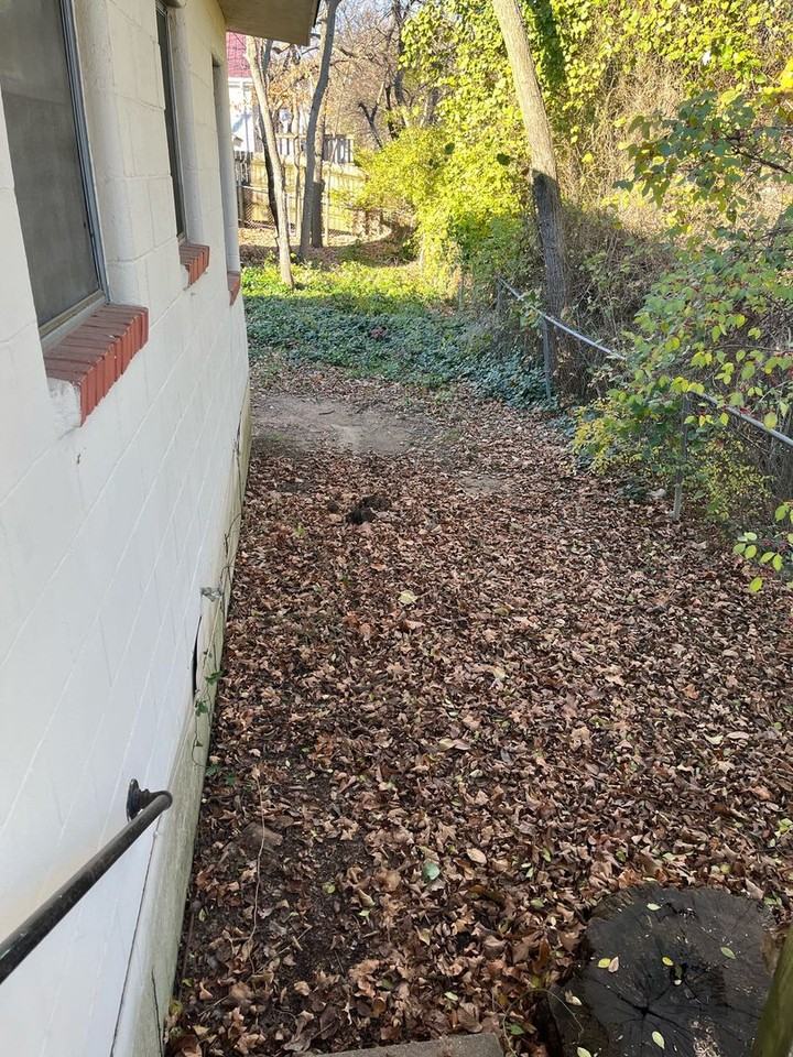808 W Cleveland St - Photo 5 of 8