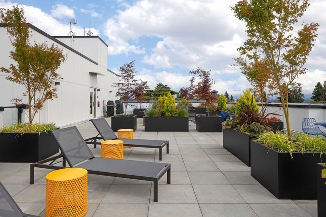 CHRONICLE: Stylish Wallingford Studios with Full Appliance Package & Premium Amenities - Photo 7 of 34