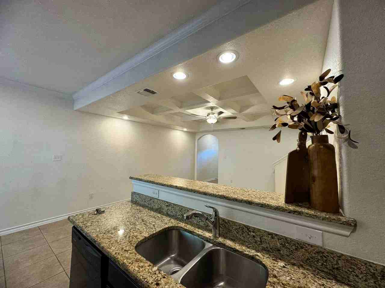 16808 Dancing Ava - Photo 7 of 23