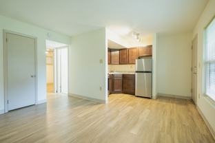 904 The Axis at 1435 - Photo 1 of 1
