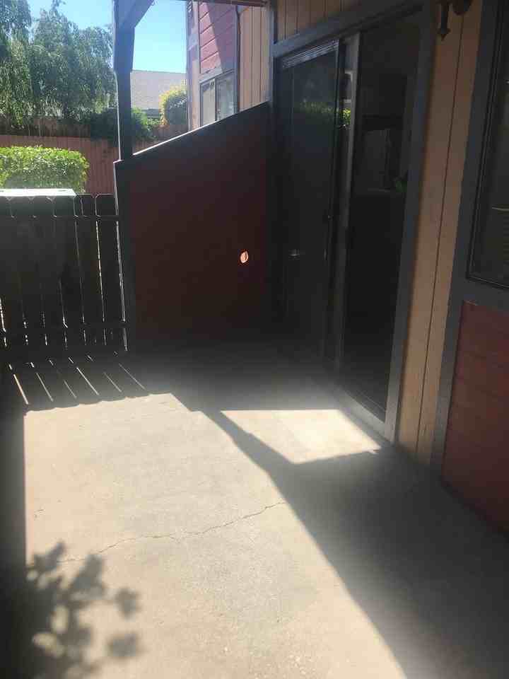 3208 Bristle Branch Dr - Photo 7 of 7