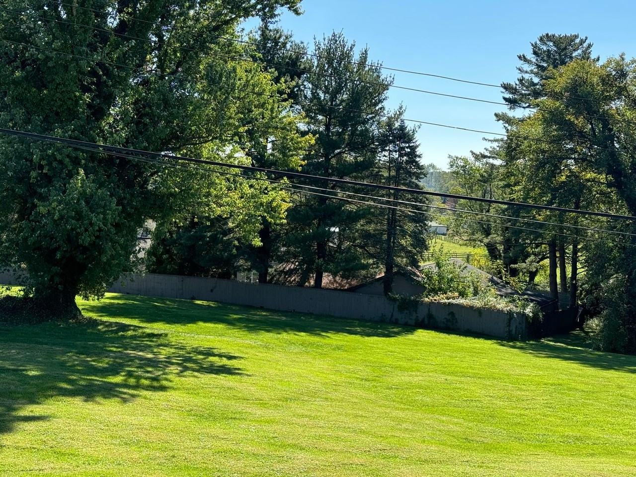 Leafs Chance LLC - Photo 2 of 4