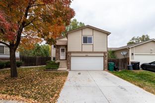 6109 Lowlander Ct - Photo 1 of 1