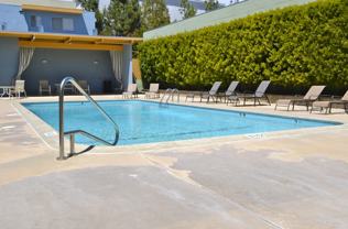 1162 Saranap Avenue #8A - Photo 1 of 1