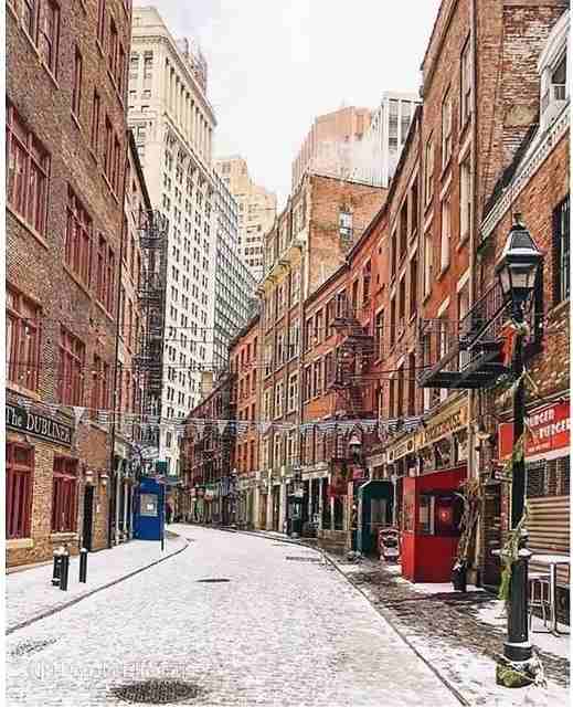 Pine St #4C - Photo 7 of 14