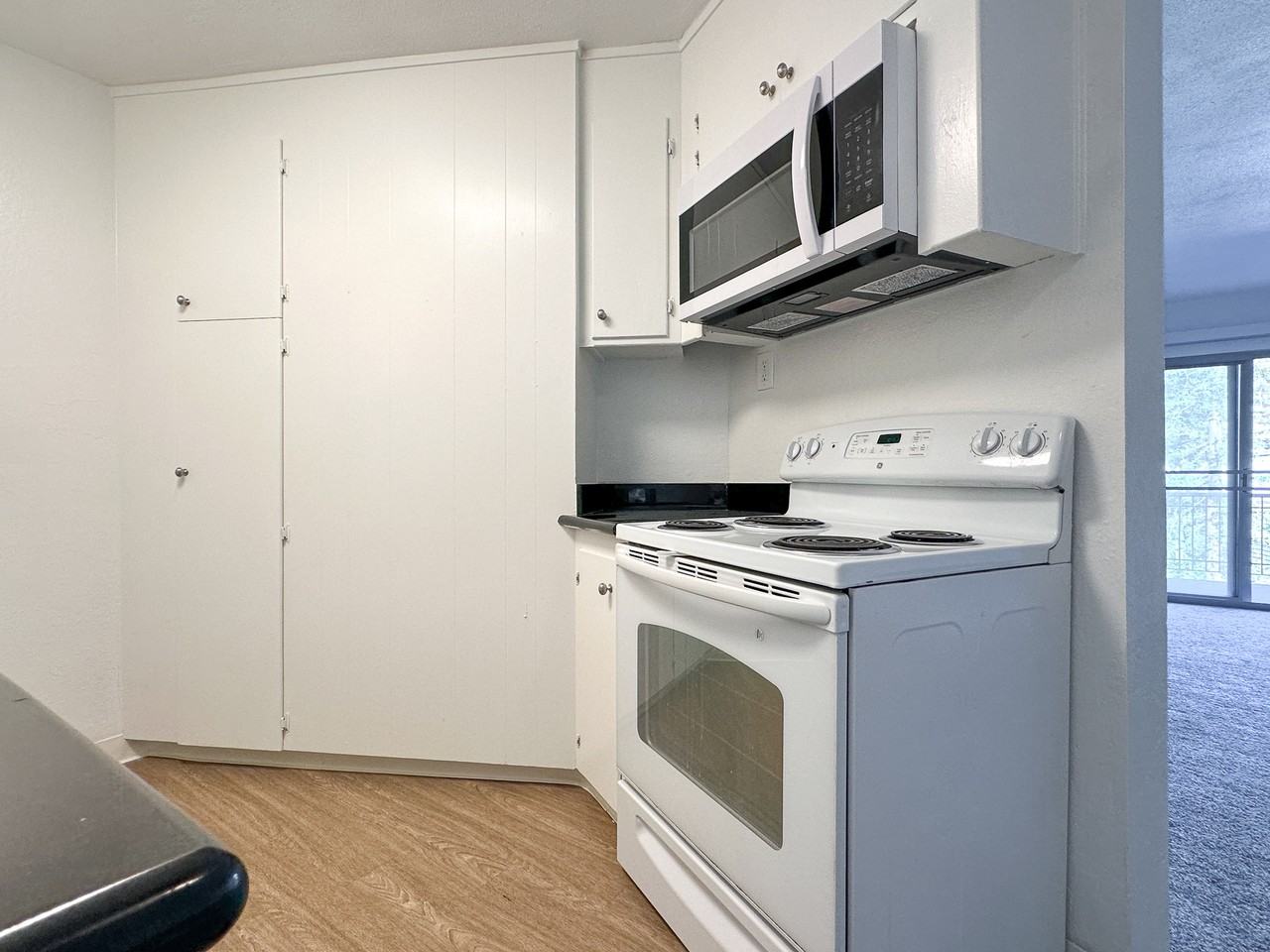 1823 Lincoln Ave #315 - Photo 3 of 14