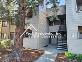 3715 Tallyho Dr - Photo 1 of 1