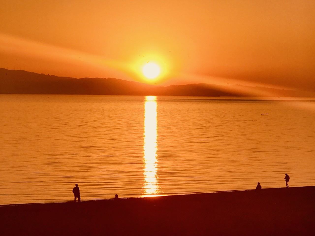 Shoreline Apartments - Photo 7 of 11