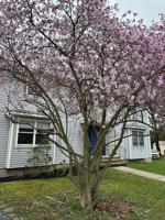 featured image of 203 N Turnpike Rd #LEFT