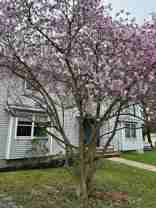 203 N Turnpike Rd #LEFT - Photo 1 of 1