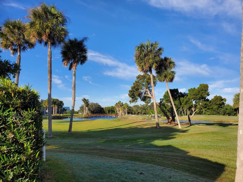 2618 Cove Cay Dr - Photo 3 of 10