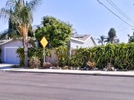 10572 Chamberlain Ave - Photo 1 of 1