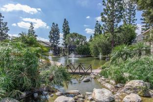 The Lake - Photo 1 of 1