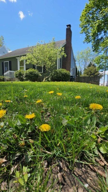 1141 Cleo St - Photo 7 of 14