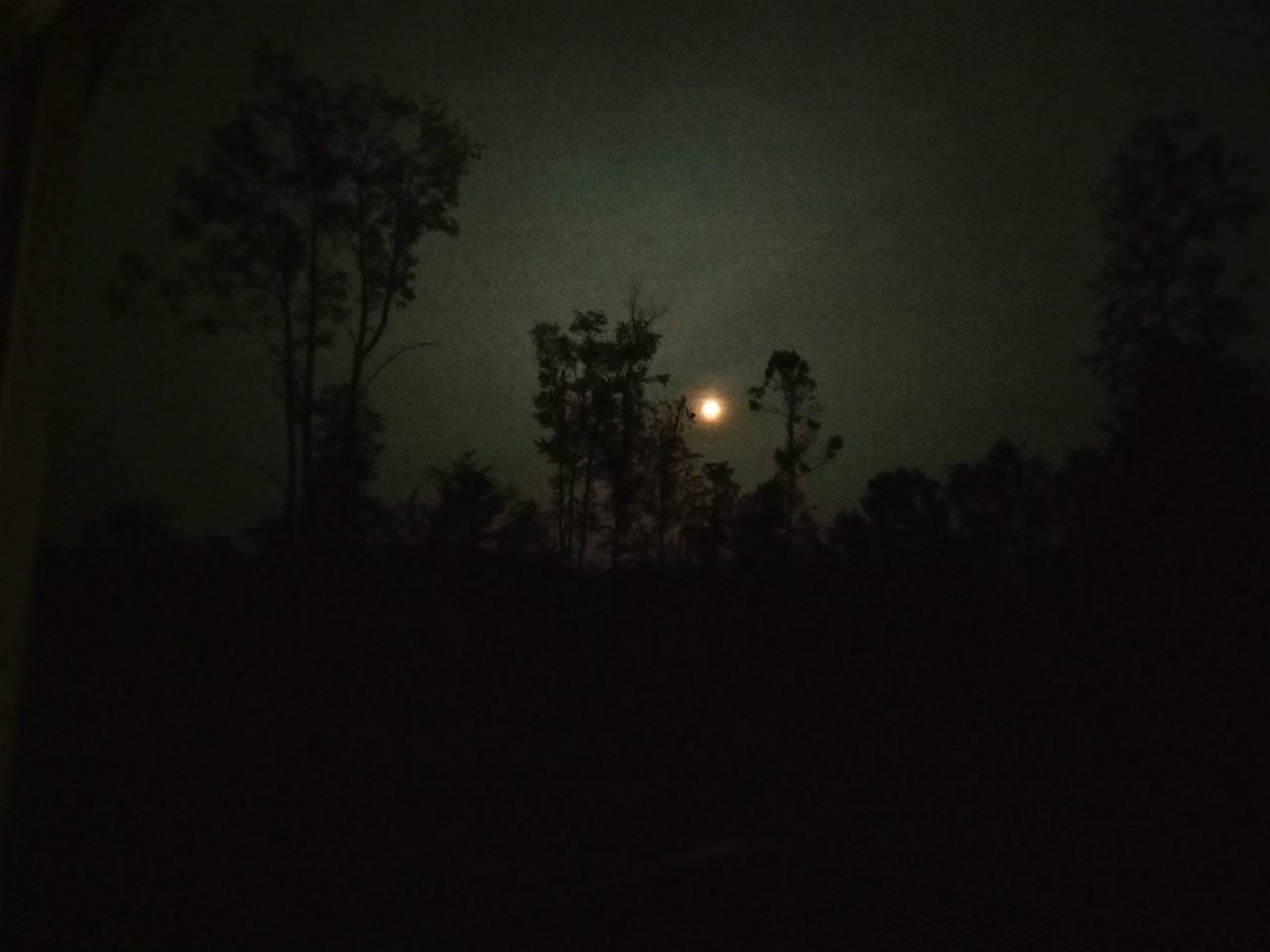 13185 W Vernon Rd #NA - Photo 3 of 8