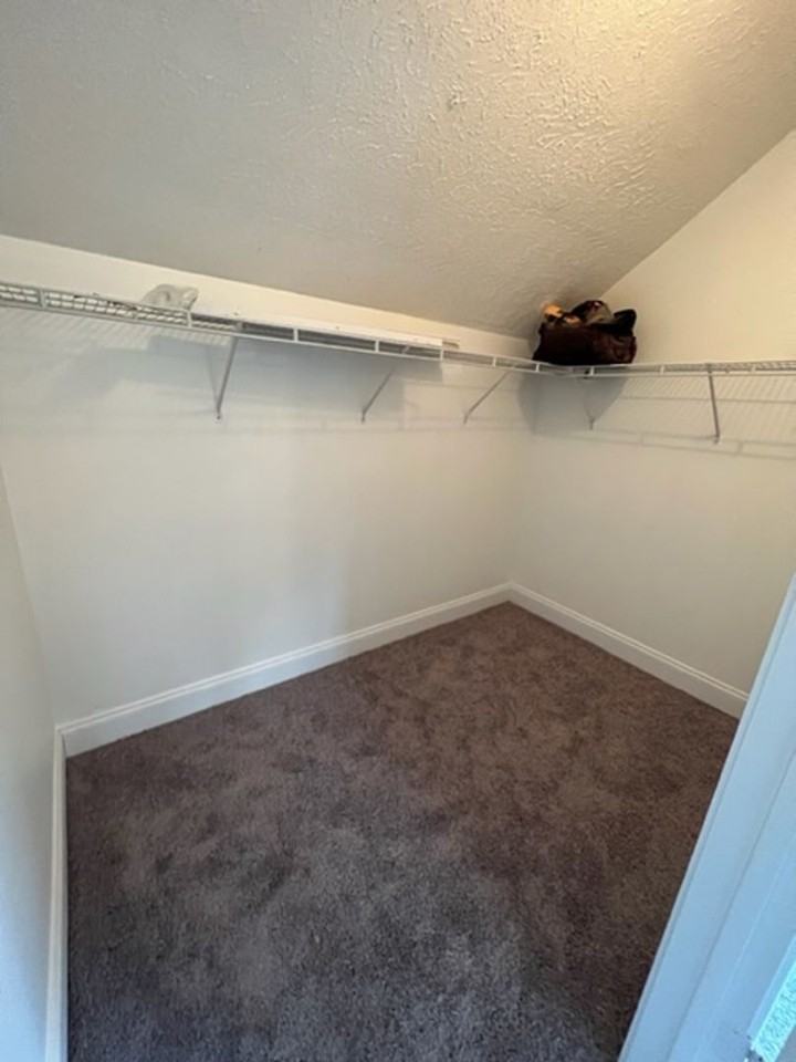 152 Trail Creek St - Photo 6 of 16