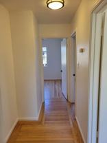 1429 Hawaii Street - Photo 1 of 1