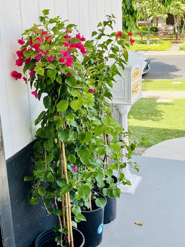 5779 Enfield Ave #NA - Photo 6 of 7