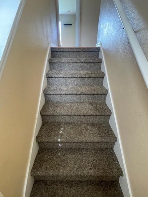 260 Blue Jay Way - Photo 3 of 21